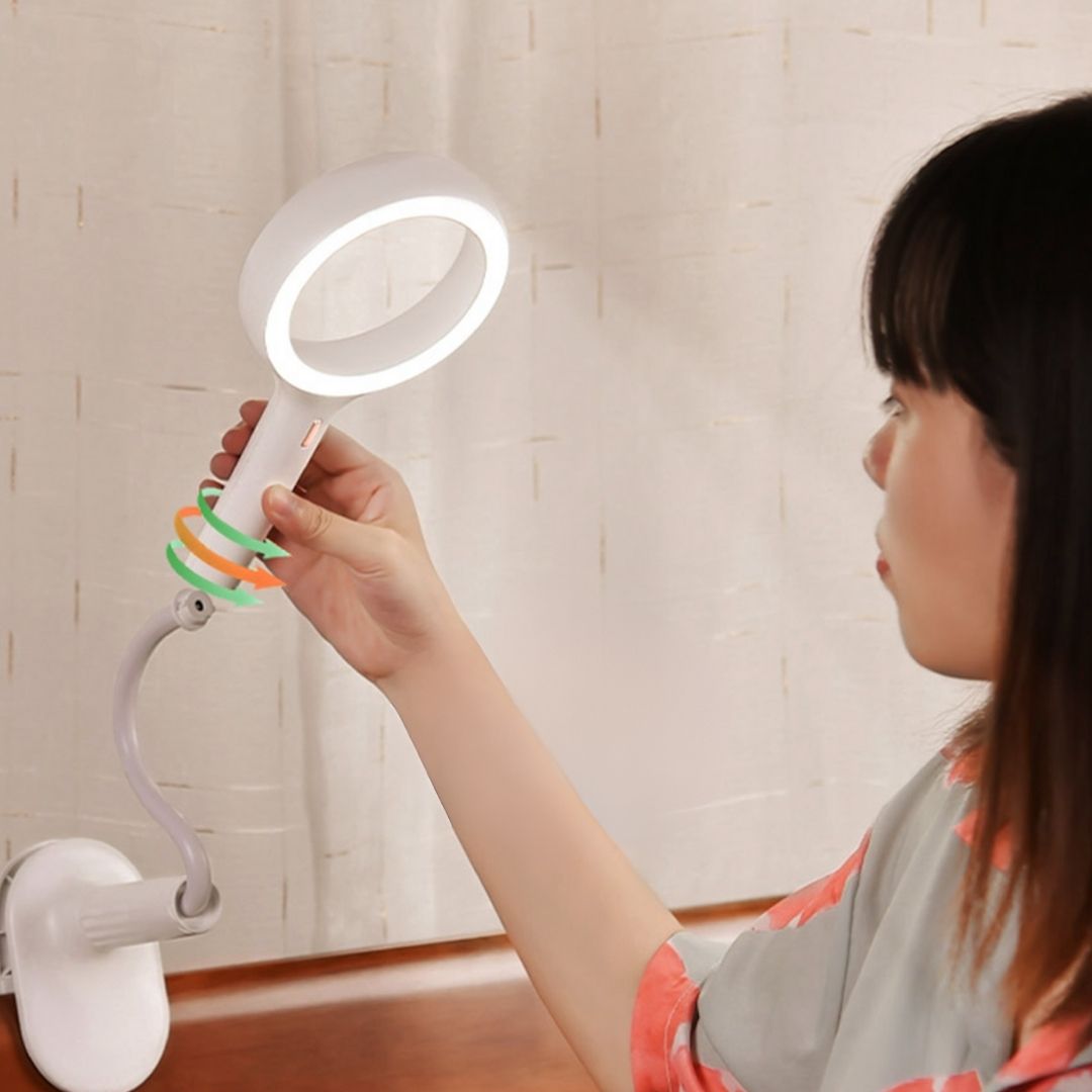 Multifunctional LED Desk Lamp