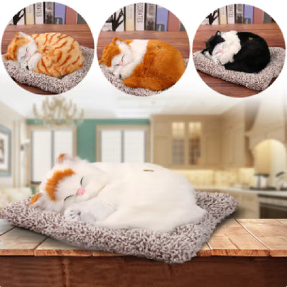 Cute Cat sleeping on a mat