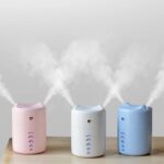 Small microphone double mist humidifier
