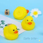 Duck Water Toy / The quacking duck